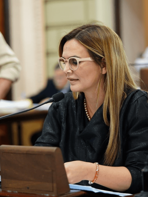 “No vamos a permitir que toquen el bolsillo de los jubilados”: El duro comentario de Amalia Granata contra la Reforma jubilatoria de Pullaro 