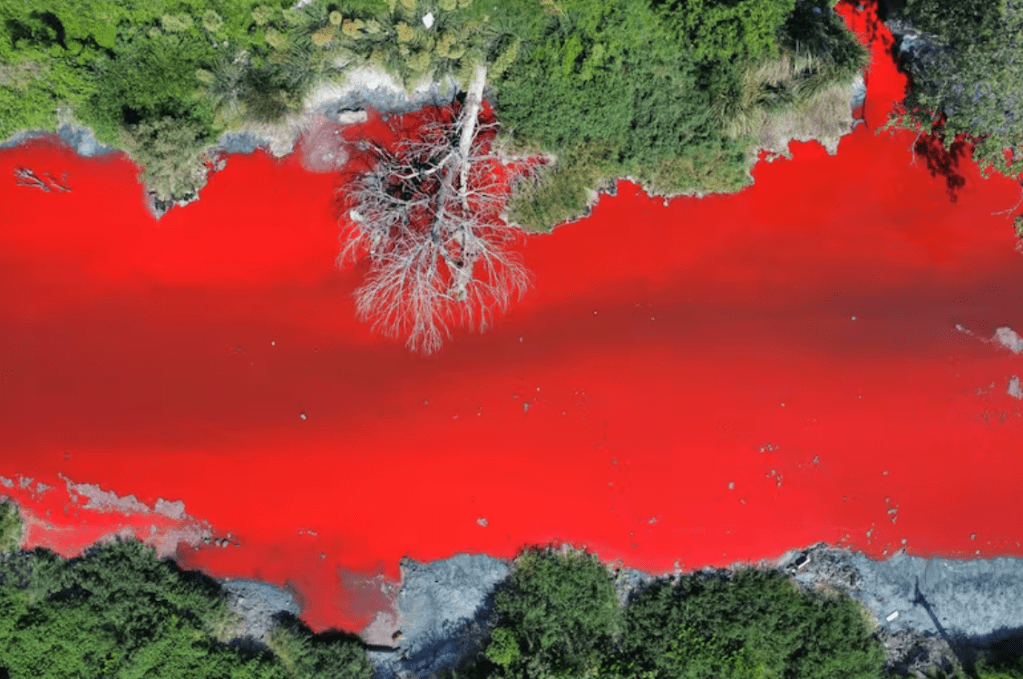 Avellaneda es del Rojo: Peligro ambiental y&nbsp;contaminación