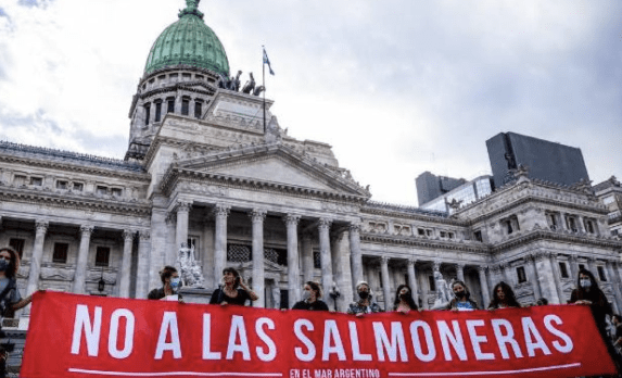 Advierten que eliminar la ley que prohíbe salmoneras podría generar un grave daño&nbsp;ambiental